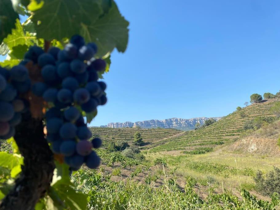 Vinyes Del Priorat Leilighet Cornudella de Monsant Eksteriør bilde